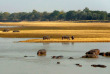 Zambie - Parc national du South Luangwa - Three Rivers Camp