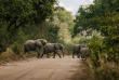 Zambie - Parc national du South Luangwa ©Kafunta Safaris