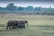 Zambie - Parc national du South Luangwa ©Kafunta Safaris