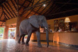 Zambie - South Luangwa - Mfuwe Lodge