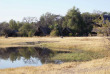 Zimbabwe - Hwange National Park - The Hide Safari Camp