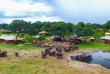 Zimbabwe - Hwange - Somalisa Camp et Acacia