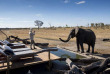 Zimbabwe - Hwange - Somalisa Expedition
