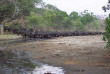 Zimbabwe - Mana Pools - Chitake Spring