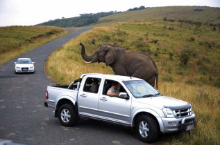 Afrique du Sud - Hluhluwe Game Reserve - Hilltop Resort