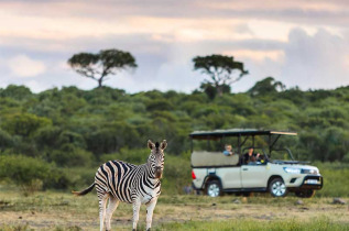 Afrique du Sud - Hluhluwe  ©Rhino Ridge Safari Lodge