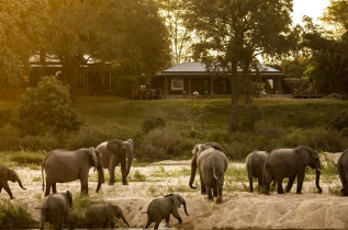 Afrique du sud - MalaMala Game Reserve - MalaMala Rattray's Camp