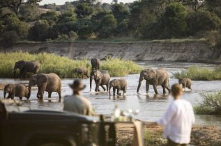 Afrique du Sud - MalaMala Game Reserve - MalaMala Sable Camp