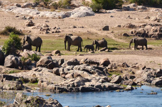 Afrique du Sud - Mjejane Private Game Reserve - Mjejane River Lodge