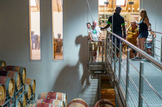 Afrique du Sud - Franschhoek - Visite de vignobles à vélo ©bikesnwines