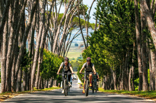 Afrique du Sud - Stellenbosch - Visite de vignobles à vélo ©bikesnwines