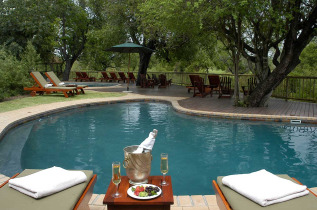 Afrique du Sud - Sabi Sabi Private Game Reserve - Sabi Sabi Bush Lodge