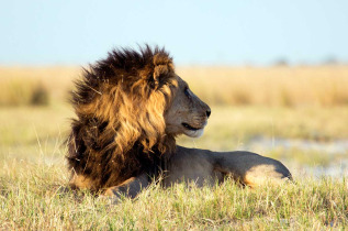 Botswana ©Shutterstock, 2630Ben