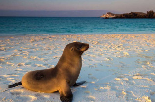 Equateur - Galapagos