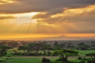 Kenya - Parc national Amboseli ©Shutterstock, kucherav