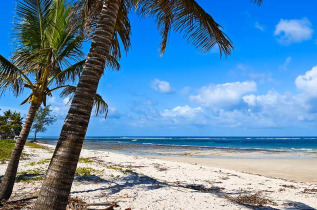 Kenya - Mombasa - Diani Beach © Shutterstock, eduard kyslynskyy