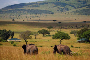 Kenya - Masai Mara - Sand River Elewana