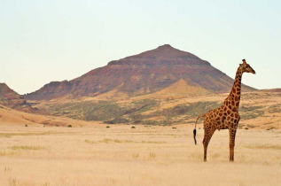 Namibie - Damaraland - Khowarib Lodge