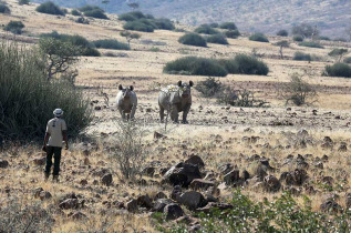 Namibie - Damaraland - Palmwag Lodge Gondwana Collection