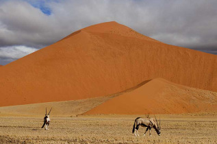 Namibie - Désert ©Shutterstock, François Loubser