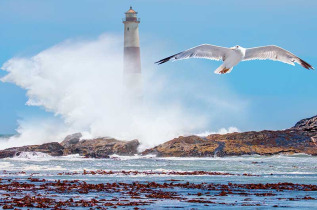 Namibie - Luderitz ©Shutterstock, Muratart