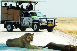 Namibie - Parc national d'Etosha - Safari au départ du Etosha Safari Camp
