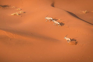 Namibie - Sesriem - Parc Naukluft - Survol en montgolfière ©Shutterstock, Janelle Lugge