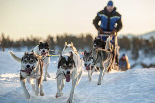 Norvège - Circuit Aventure arctique au Comté de Troms - Malangen Resort 