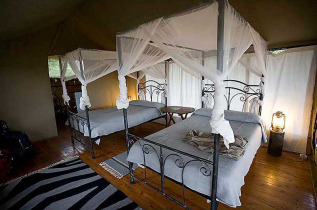 Tanzanie - Tarangire River Camp @ Louis Escober