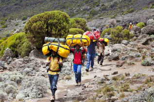 Tanzanie - Ascension du Kilimandjaro par voie Marangu