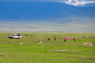 Tanzanie - Cratère du Ngorongoro