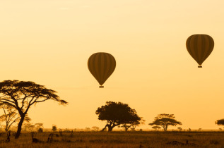 Tanzanie - Serengeti - survol en montgolfière