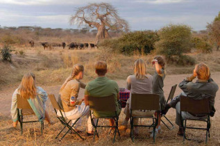 Tanzanie - Ruaha - Jongomero Camp