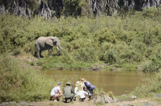 Tanzanie - Kichaka expedition - The Traiblazer 5 nuits