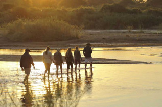 Tanzanie - Kichaka expedition - The Traiblazer 5 nuits