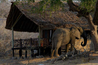 Tanzanie - Ruaha - Ruaha River Lodge