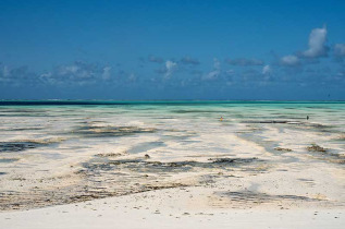 Tanzanie - Zanzibar - Casa Beach Hotel