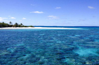 Tonga - Nager avec les baleines à bosse