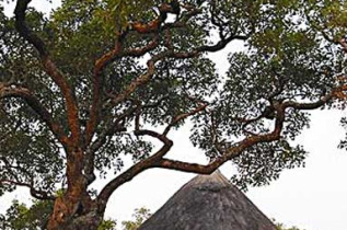 Zambie - Kafue NP - Mukambi Safari Lodge