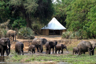 Zambie - Lower Zambezi NP - Sausage Tree Camp