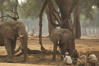 Zimbabwe - Mana Pools - Goliath Safari Camp