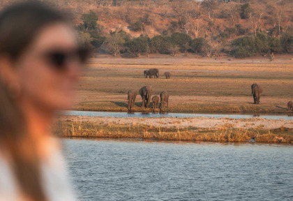 Botswana - Rivière Chobe - Croisière sur le Chobe princess - Vue sur les animaux