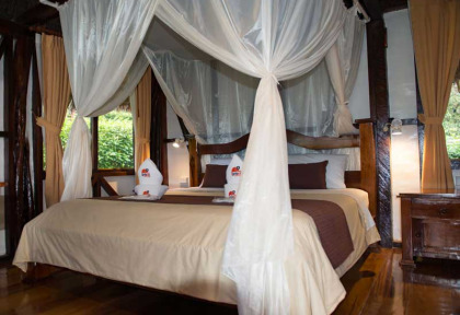 Equateur - Amazonie - Napo Wildlife Lodge