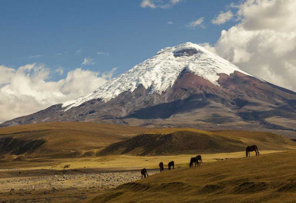 Equateur - Circuit Terres incas et Volcans Majestueux - Cotopaxi © Shutterstock, Ecuadorpostales