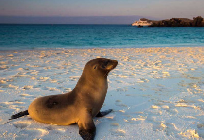 Equateur - Galapagos