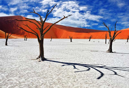 Namibie - Désert du Namib - Deadvlei ©Shutterstock, Oleg Znamenskiy