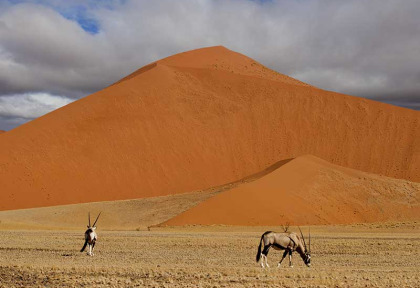 Namibie - Désert ©Shutterstock, François Loubser
