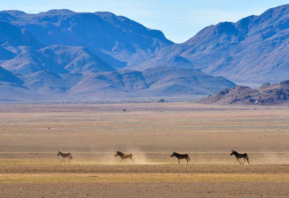 Namibie - Namibrand ©Shutterstock, Feli Lipov