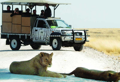 Namibie - Parc national d'Etosha - Safari au départ du Etosha Safari Camp