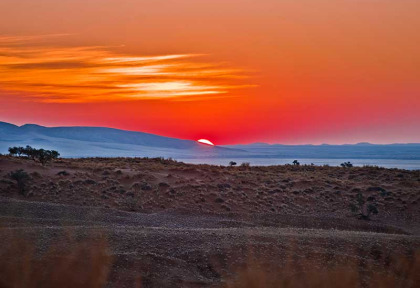 Namibie - Sesriem - Excursion sur la réserve du Namib Desert Lodge